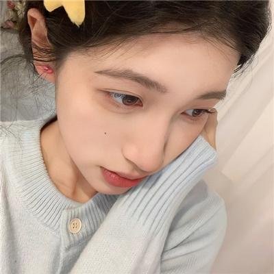 狮子护卫队第一季